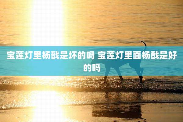宝莲灯里杨戬是坏的吗 宝莲灯里面杨戬是好的吗