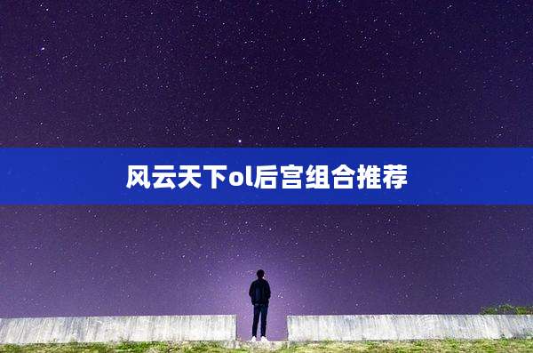 风云天下ol后宫组合推荐