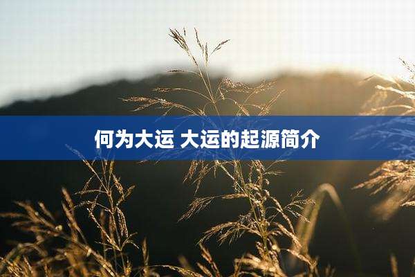 何为大运 大运的起源简介