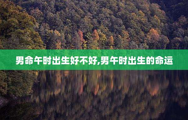 男命午时出生好不好,男午时出生的命运