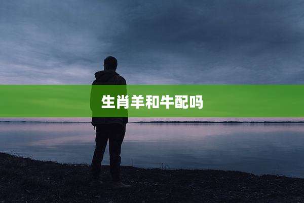 生肖羊和牛配吗