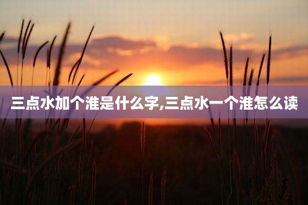 三点水加个淮是什么字,三点水一个淮怎么读