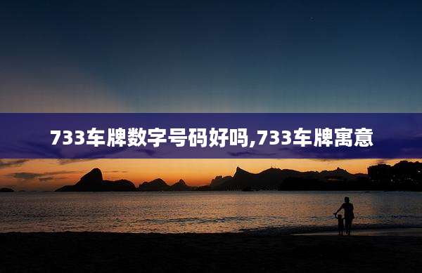 733车牌数字号码好吗,733车牌寓意