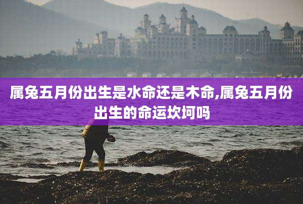 属兔五月份出生是水命还是木命,属兔五月份出生的命运坎坷吗