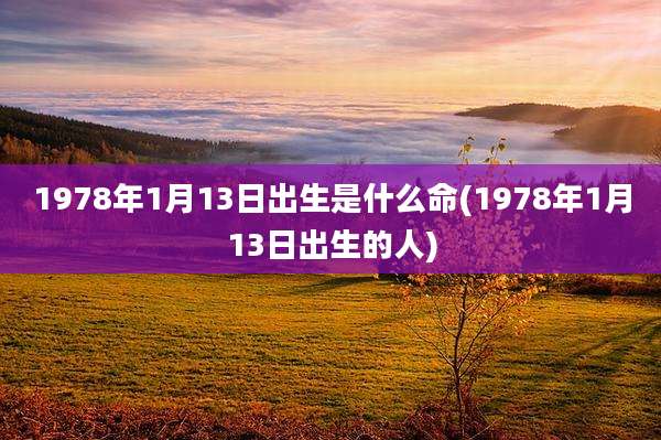 1978年1月13日出生是什么命(1978年1月13日出生的人)