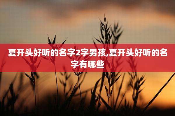 夏开头好听的名字2字男孩,夏开头好听的名字有哪些
