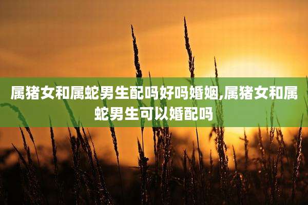 属猪女和属蛇男生配吗好吗婚姻,属猪女和属蛇男生可以婚配吗