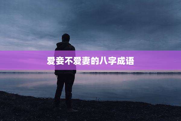 爱妾不爱妻的八字成语