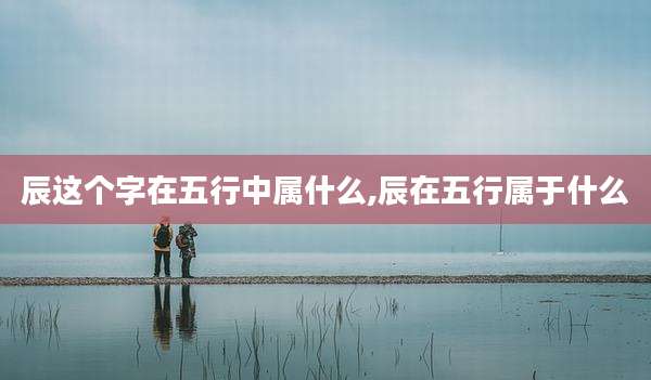 辰这个字在五行中属什么,辰在五行属于什么