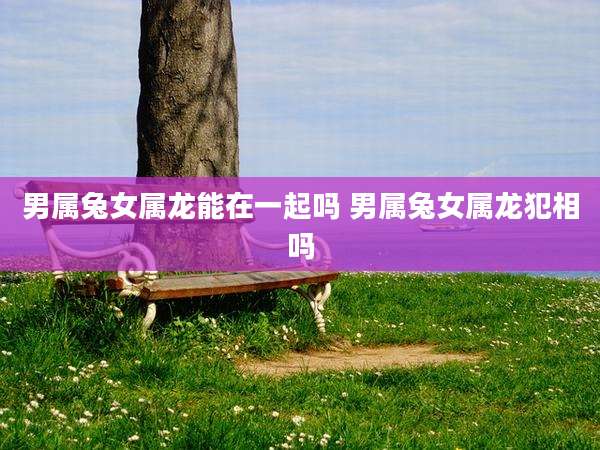 男属兔女属龙能在一起吗 男属兔女属龙犯相吗