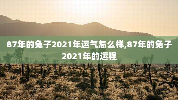 87年的兔子2021年运气怎么样,87年的兔子2021年的运程