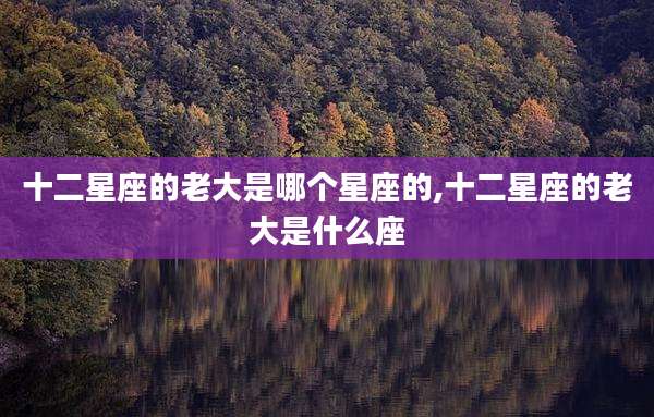 十二星座的老大是哪个星座的,十二星座的老大是什么座