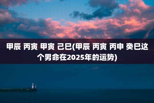甲辰 丙寅 甲寅 己巳(甲辰 丙寅 丙申 癸巳这个男命在2025年的运势)