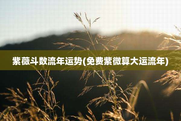 紫薇斗数流年运势(免费紫微算大运流年)