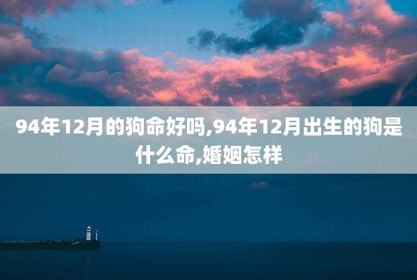 94年12月的狗命好吗,94年12月出生的狗是什么命,婚姻怎样