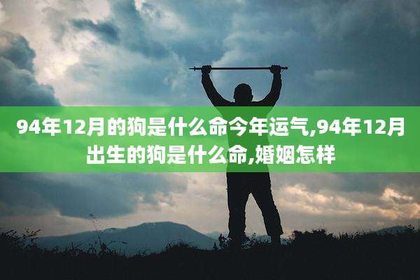 94年12月的狗是什么命今年运气,94年12月出生的狗是什么命,婚姻怎样