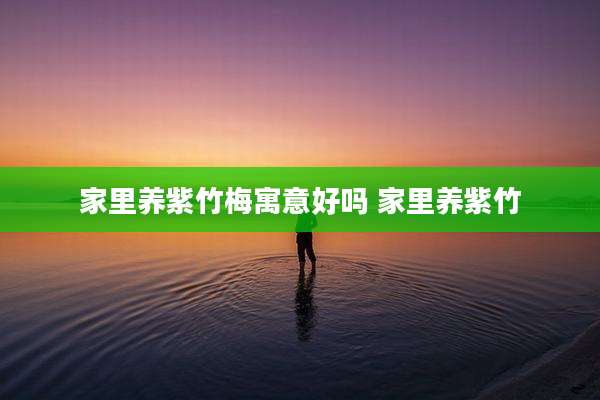 家里养紫竹梅寓意好吗 家里养紫竹