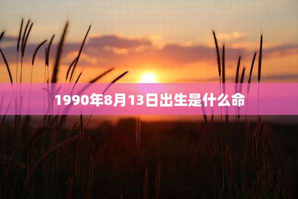 1990年8月13日出生是什么命