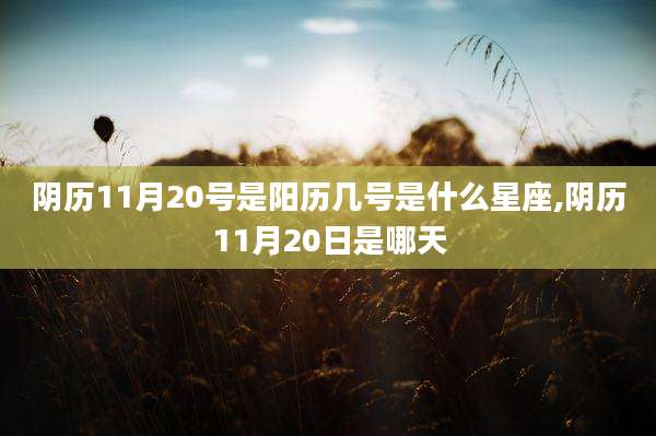 阴历11月20号是阳历几号是什么星座,阴历11月20日是哪天