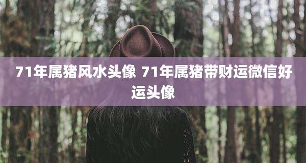 71年属猪风水头像 71年属猪带财运微信好运头像
