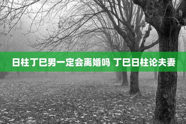 日柱丁巳男一定会离婚吗 丁巳日柱论夫妻
