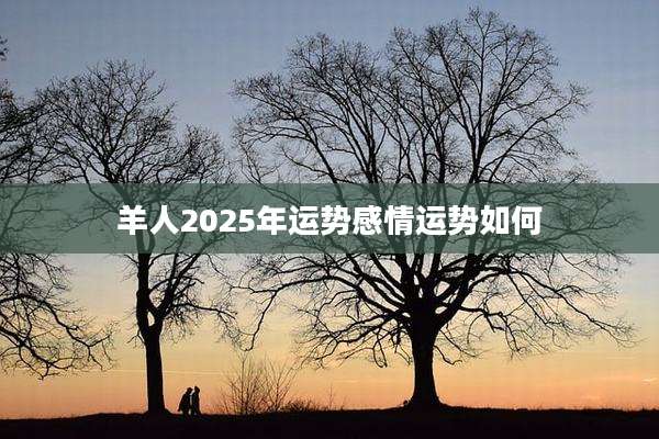 羊人2025年运势感情运势如何