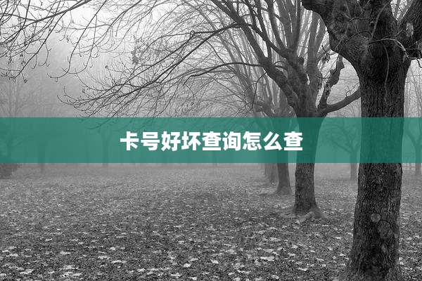 卡号好坏查询怎么查