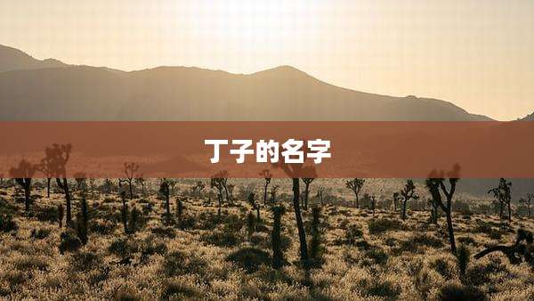 丁子的名字