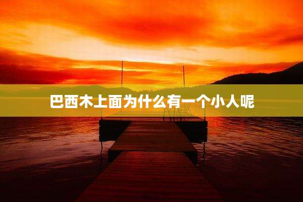 巴西木上面为什么有一个小人呢