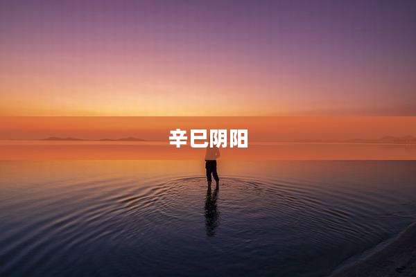 辛巳阴阳