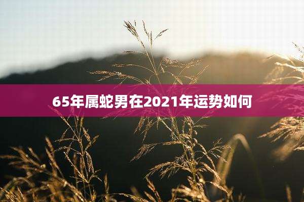 65年属蛇男在2021年运势如何