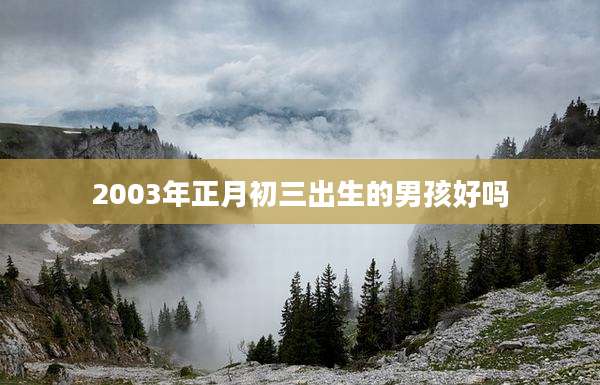 2003年正月初三出生的男孩好吗