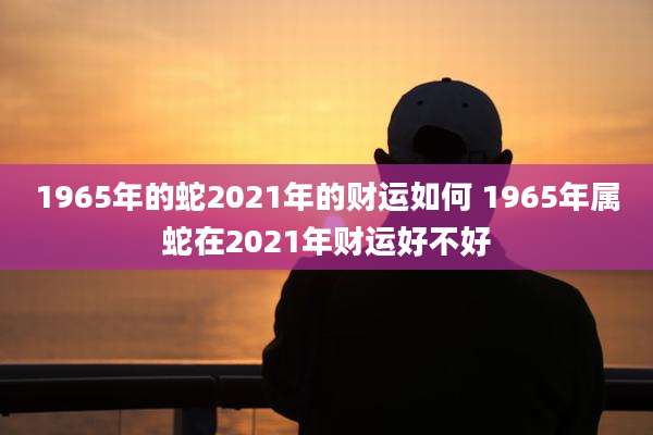 1965年的蛇2021年的财运如何 1965年属蛇在2021年财运好不好