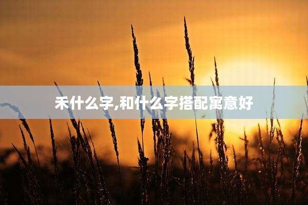 禾什么字,和什么字搭配寓意好