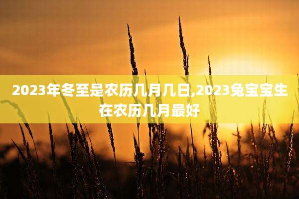 2023年冬至是农历几月几日,2023兔宝宝生在农历几月最好