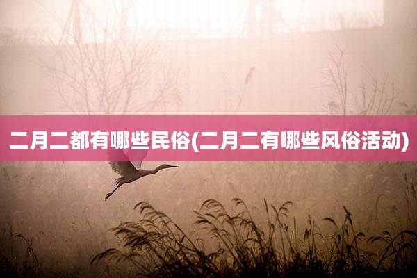二月二都有哪些民俗(二月二有哪些风俗活动)