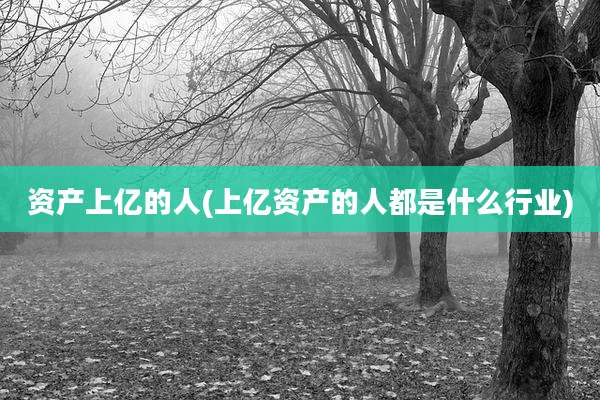 资产上亿的人(上亿资产的人都是什么行业)