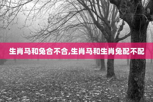 生肖马和兔合不合,生肖马和生肖兔配不配