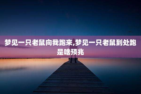 梦见一只老鼠向我跑来,梦见一只老鼠到处跑是啥预兆