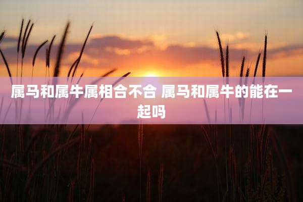 属马和属牛属相合不合 属马和属牛的能在一起吗