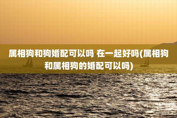 属相狗和狗婚配可以吗 在一起好吗(属相狗和属相狗的婚配可以吗)