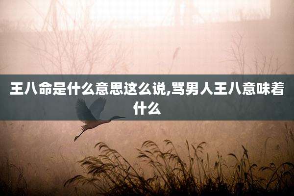 王八命是什么意思这么说,骂男人王八意味着什么