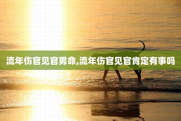 流年伤官见官男命,流年伤官见官肯定有事吗