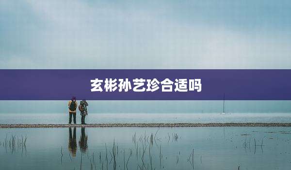 玄彬孙艺珍合适吗