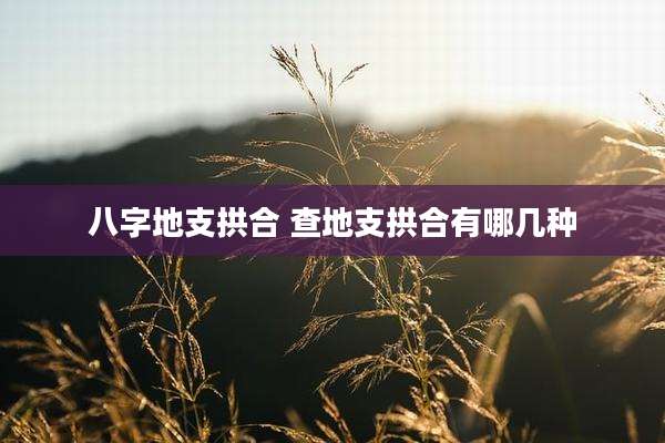 八字地支拱合 查地支拱合有哪几种