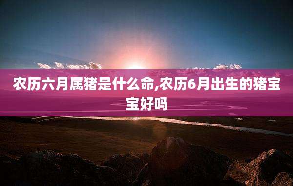 农历六月属猪是什么命,农历6月出生的猪宝宝好吗