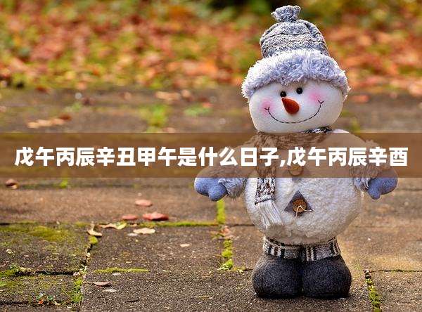 戊午丙辰辛丑甲午是什么日子,戊午丙辰辛酉