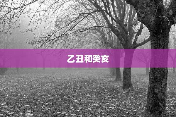 乙丑和癸亥
