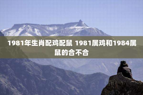 1981年生肖配鸡配鼠 1981属鸡和1984属鼠的合不合