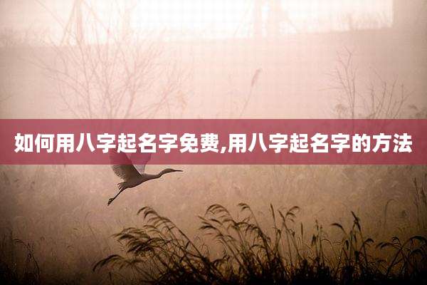 如何用八字起名字免费,用八字起名字的方法